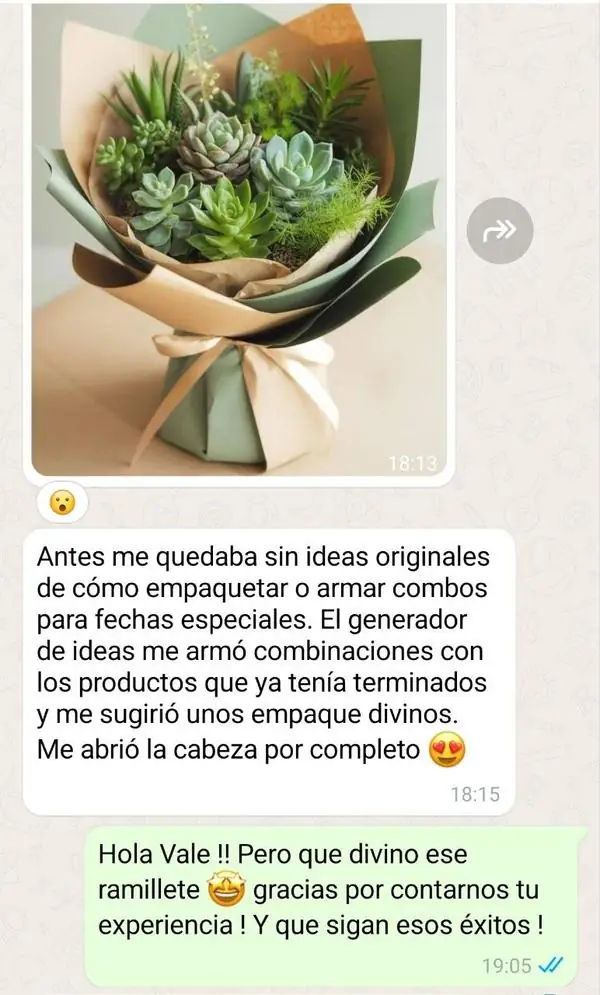 Mensaje de una creadora que consiguió ideas nuevas de combos y empaques